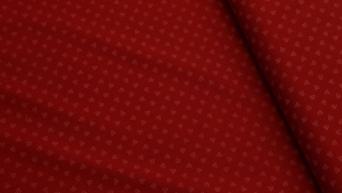 IMG_0074 Streu Schatten 1