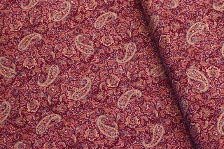 IMG_0112 Paisley 1