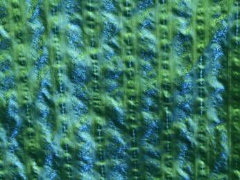 Seidenstreifen grün mit blaue Ranken S-3-055 Fb.15